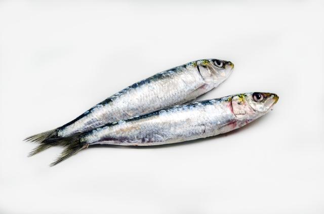 sardines entières