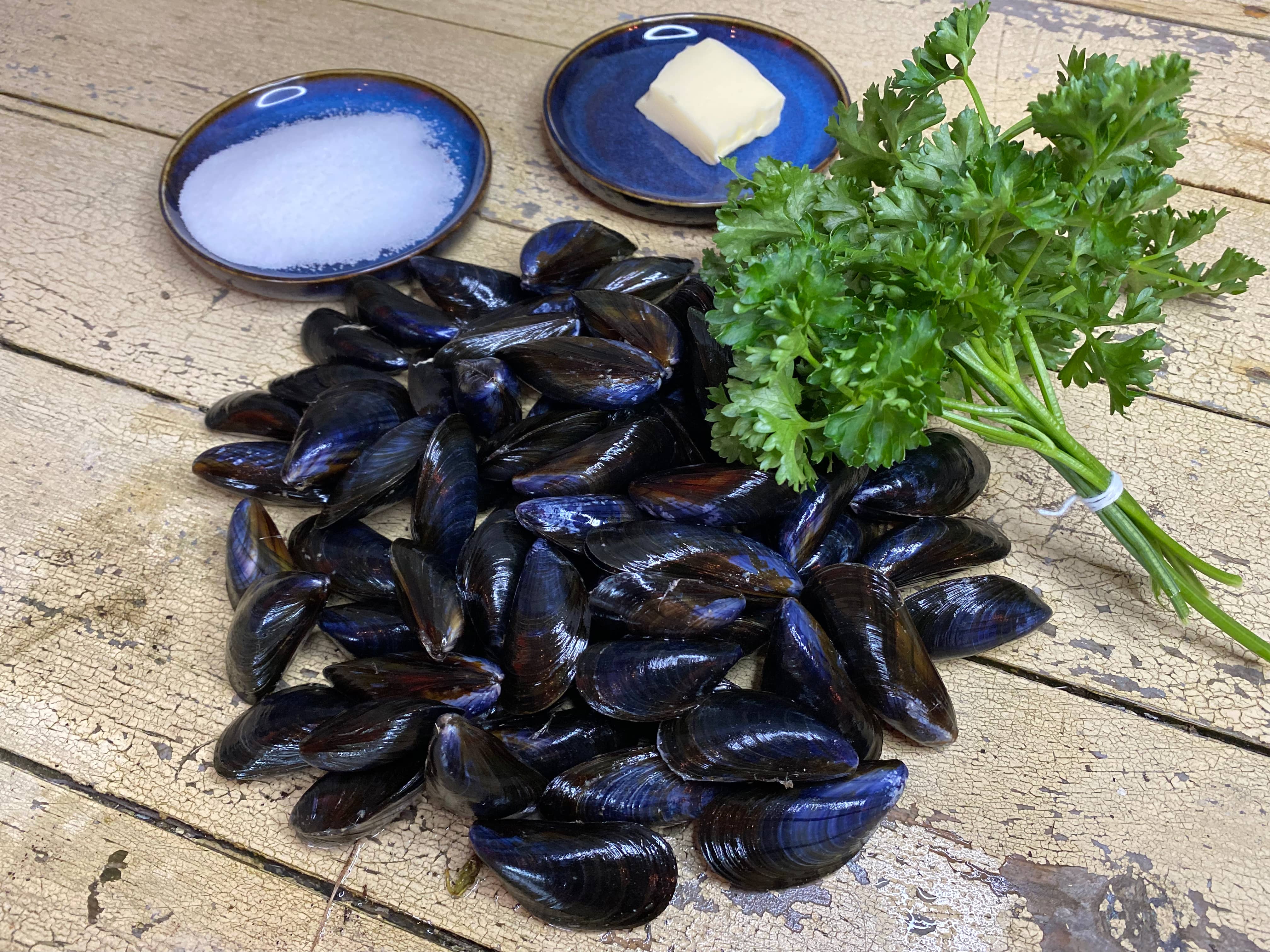 moules-bouchot-livraison-toulon